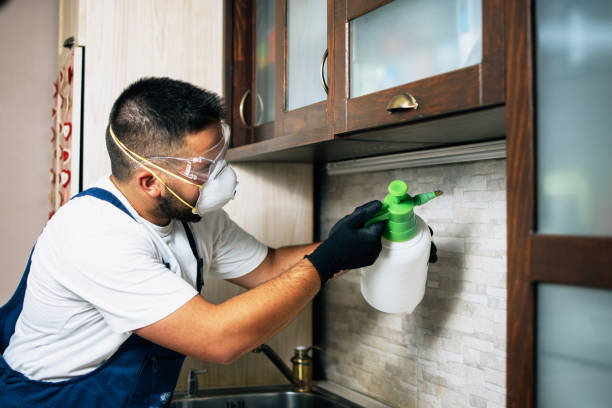 Best Rat Extermination Near Me  in Sylvania, OH